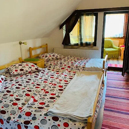 Casa Maria Izvorul Muresului Konukevi Izvoru Mureşului